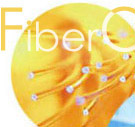 fiber optic patchcord